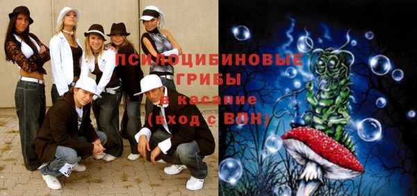 стафф Арсеньев