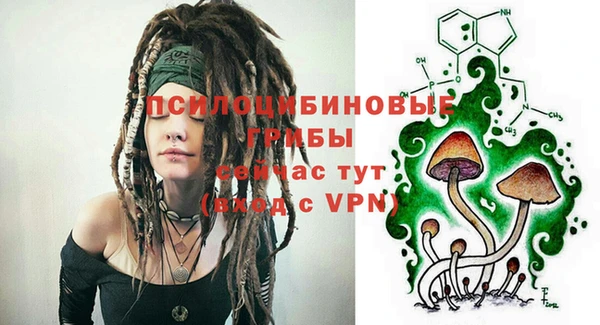 стафф Арсеньев
