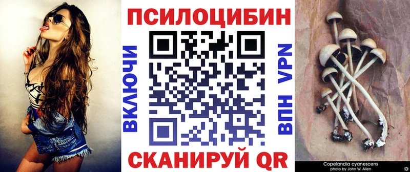 Галлюциногенные грибы прущие грибы  Аркадак 